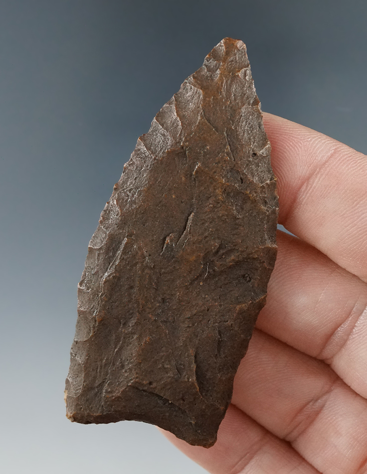 2 5/8" Paleo Lanceolate found in Alachua Co., Florida.