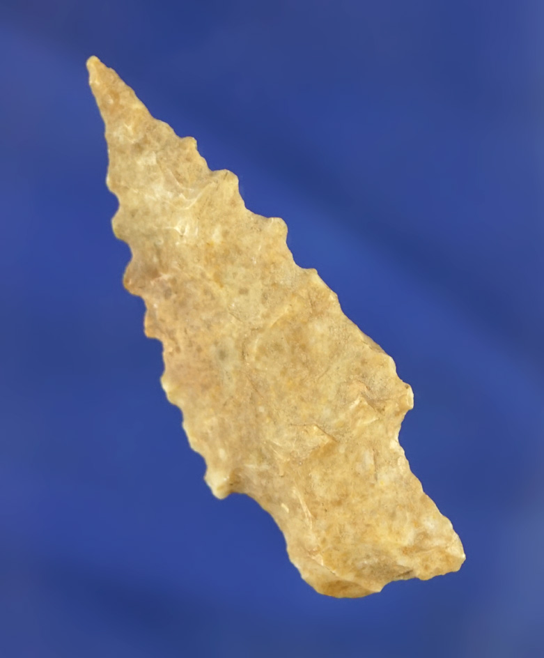 1 7/8" nicely serrated Stemmed Atlatl point found in Arizona by Kaye Brewer.