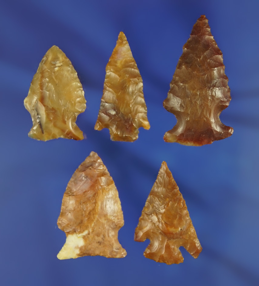 Set of five attractive arrowheads found in South Dakota. Largest is 1 1/2".
