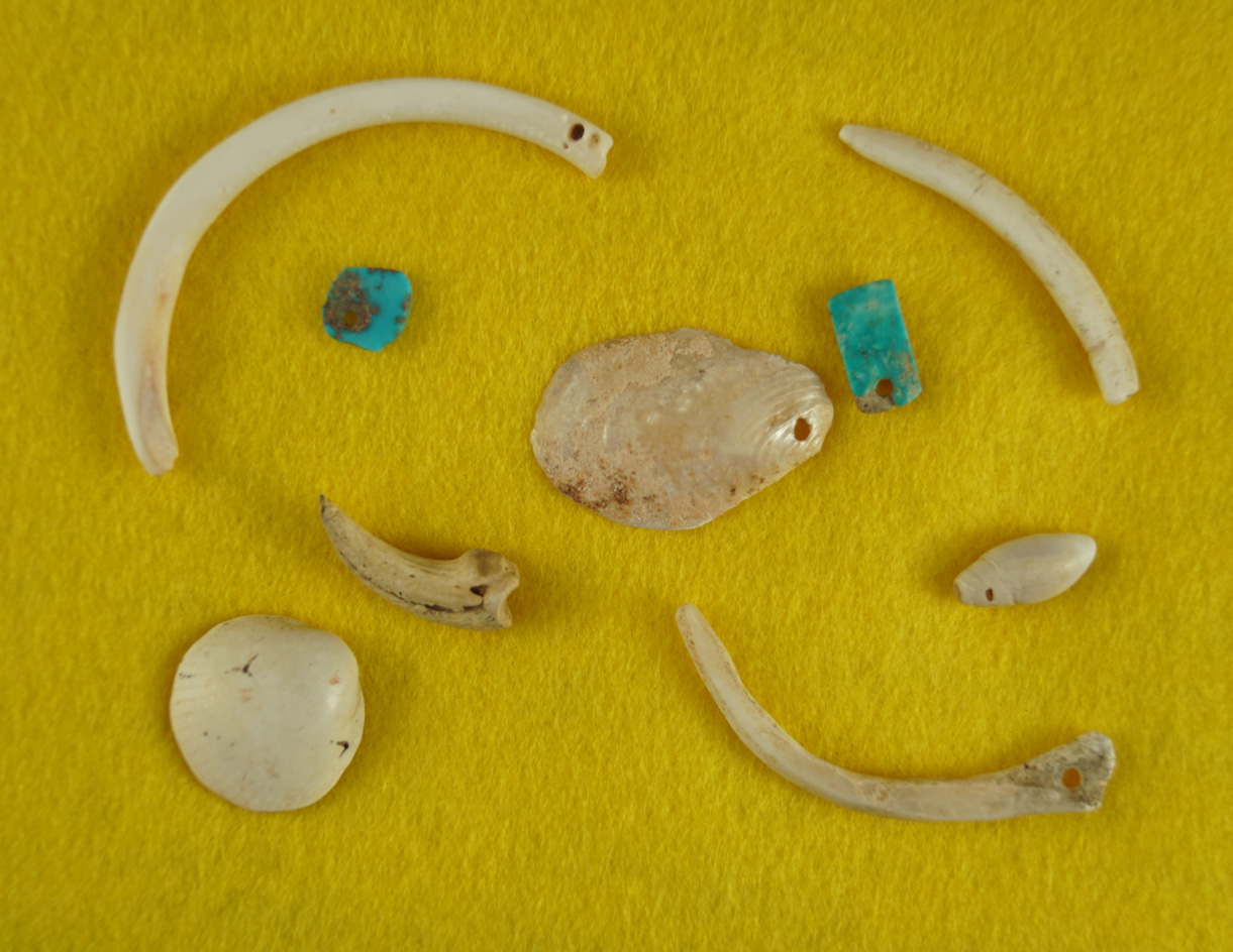Set of artifacts found in Arizona including turquoise drilled beads, shell beads and bone pendants.