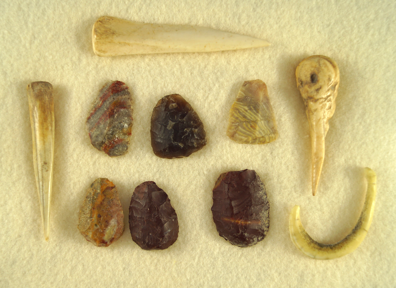 Set of artifacts collected from old Arikara village site along the Missouri River in South Dakota.
