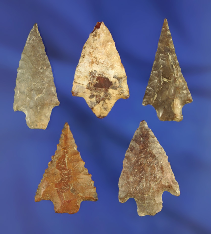 Set of five assorted arrowheads found in South Dakota, largest is 1 3/16".