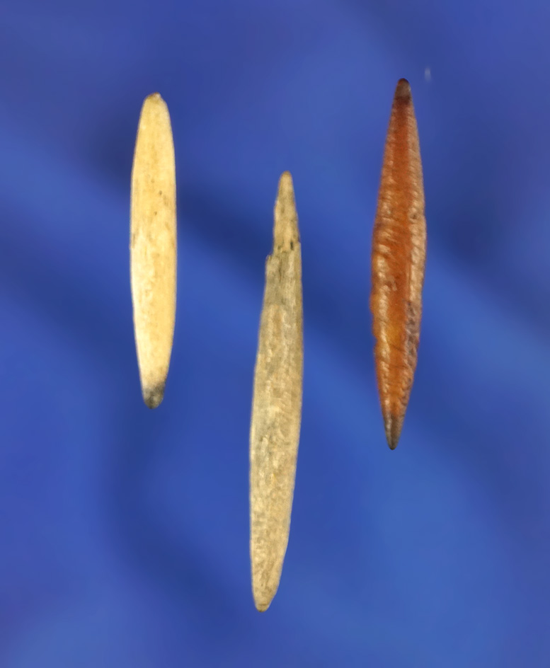 Set of three bone nose ornament's, largest is 1 7/16". These are very unique relics.