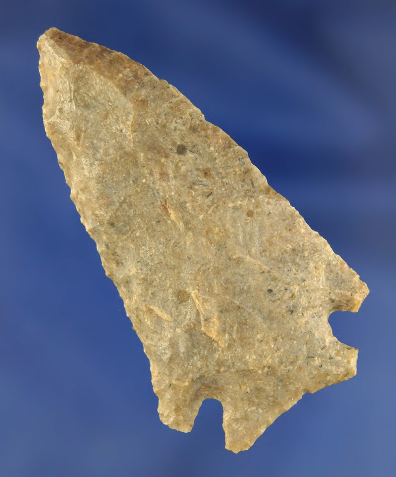 2 1/2" Pinetree Points with beveled edges found in Kentucky.