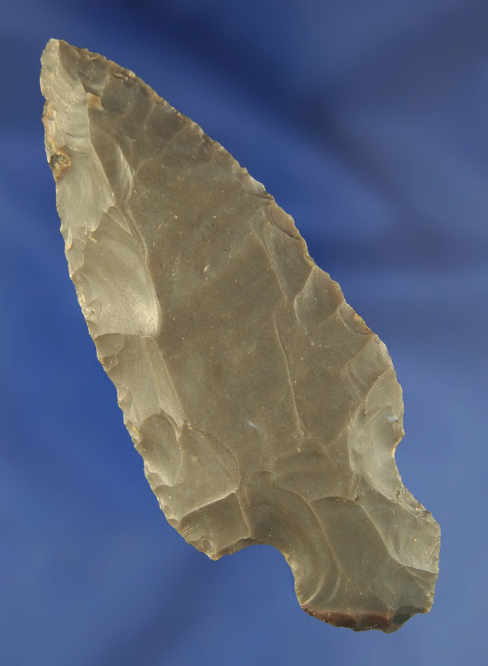 3 9/16" Hornstone Turkeytail found in Indiana.