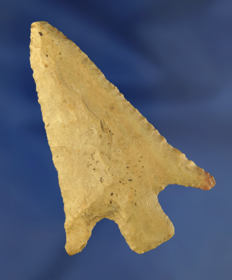 Nicely styled 2 7/8" Buck Creek with nice long flared ears found in Kentucky.