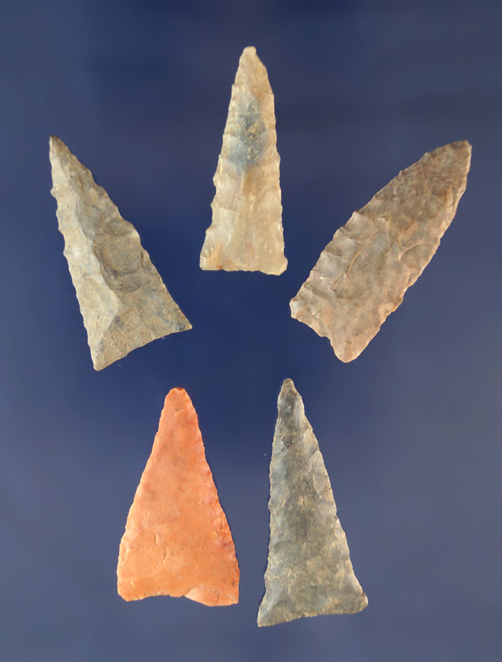 Five nice Triangle Points, largest is 1 1/2" found in Greenup Co.,  Kentucky Ex. Judge Claxton