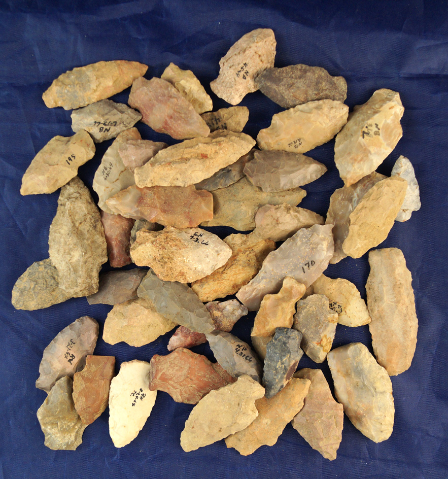 Group of 50 assorted field found Arrowheads, largest is 2 1/16"  found in Greenup Co.,  Kentucky
