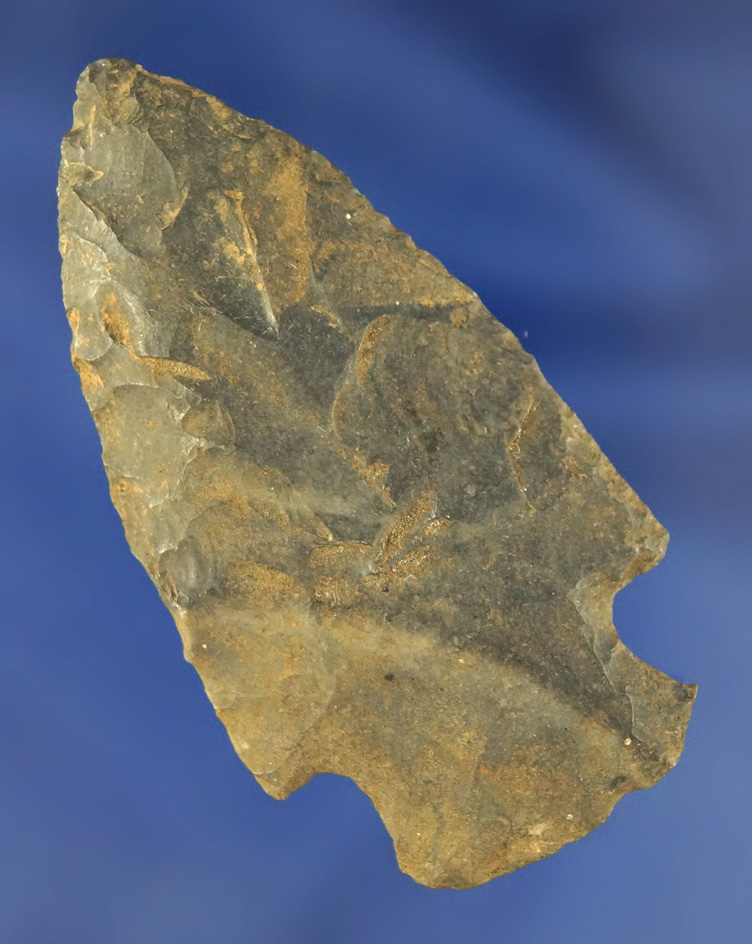 Thin and nicely flaked 2 7/16" Cornernotch found in Kentucky.