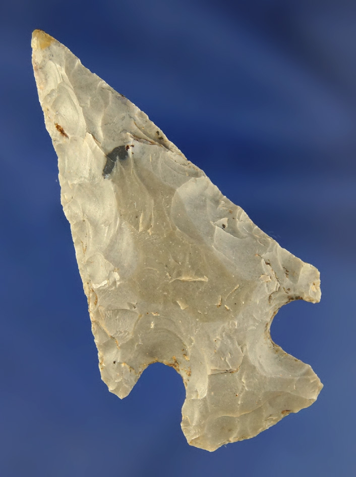 2 1/2" Motley Point found the Kentucky.