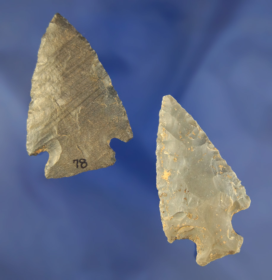 Pair of Kentucky Arrowheads found that the Capps site in Todd Co., , largest is 2 5/16".