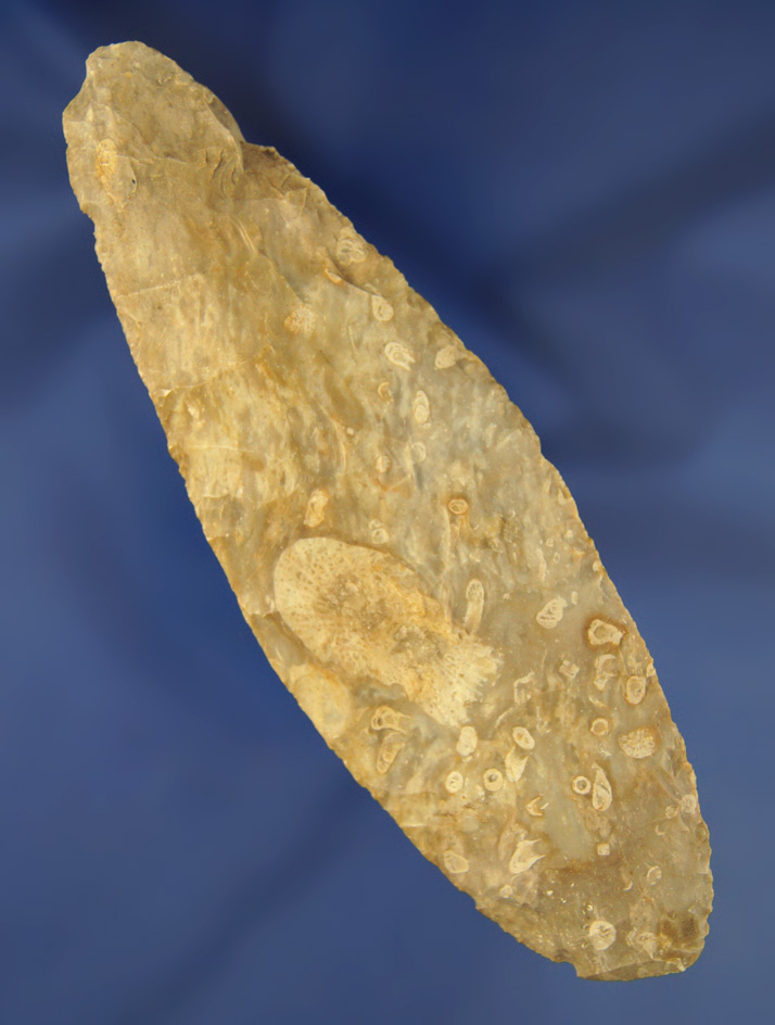 5 3/16" Flint Blade made from beautiful fossil Flint found in Missouri.