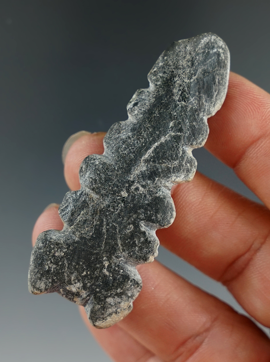 2 7/16" Rattlesnake Effigy made from Schist found in Arizona. Ex. Jim Hogue Collection.