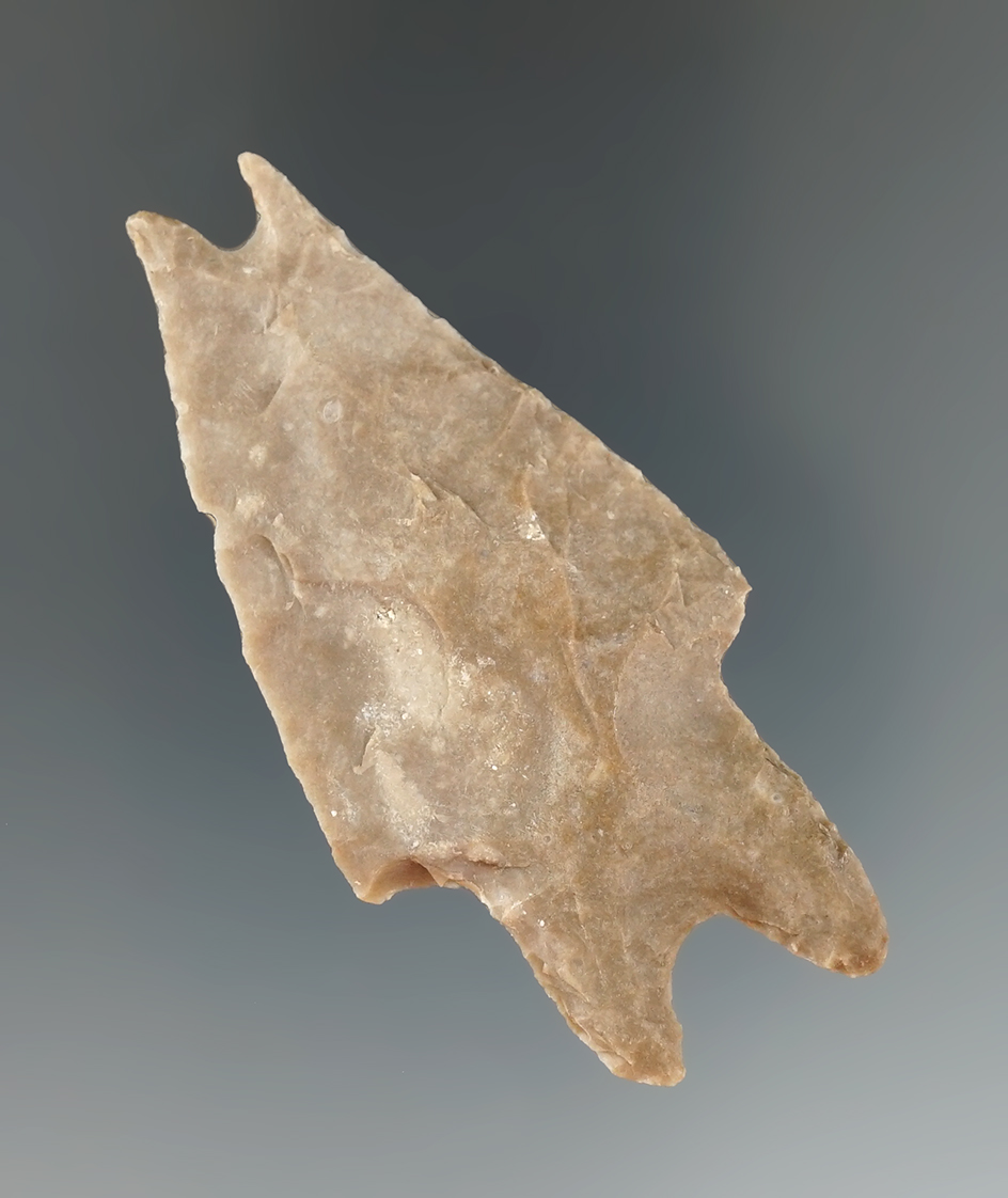 2 /9/16" Pedernales Double Tip Eccentric found in Uvalde Co., Texas. Ex. Arnold. Rogers COA.