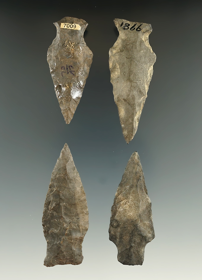 Set of four New York arrowheads, largest is 2 3/16".