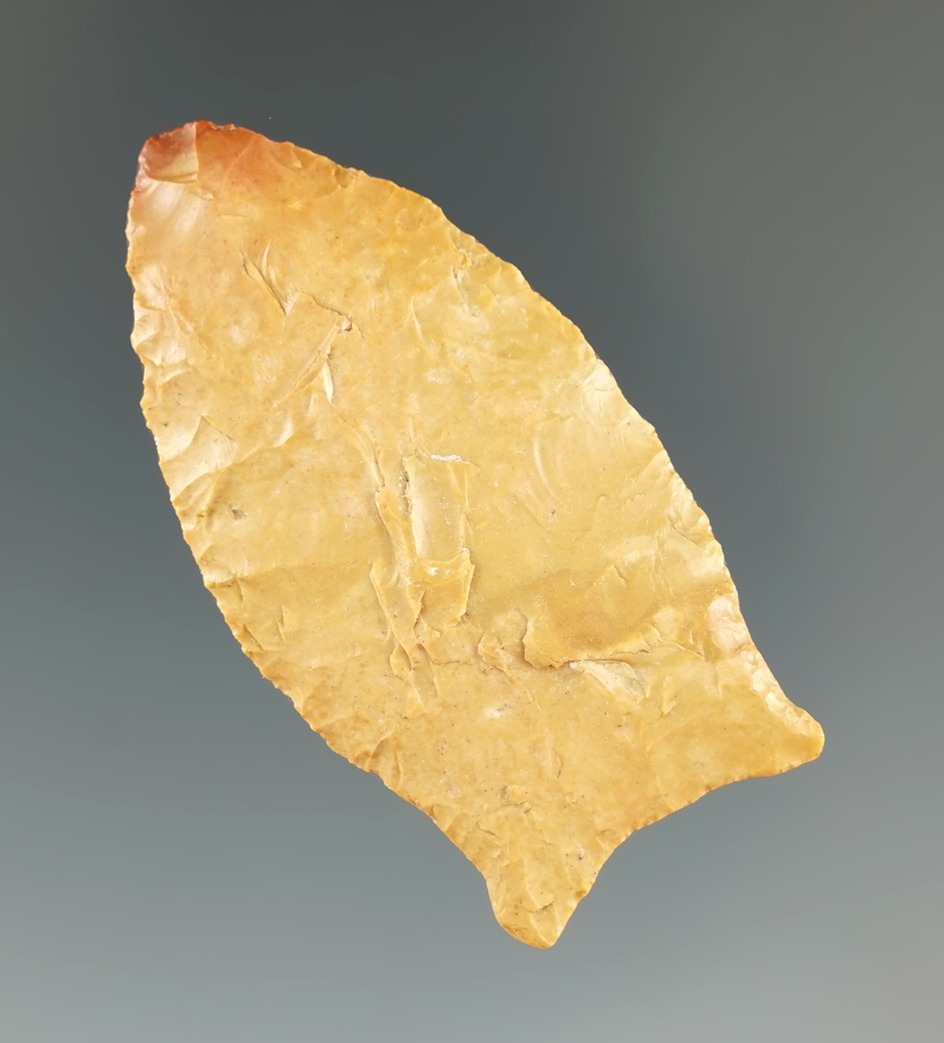 2" Paleo Beaver Lake. Crowley's Ridge Cobble Chert, found in Arkansas. Bennett and Partain COAs.