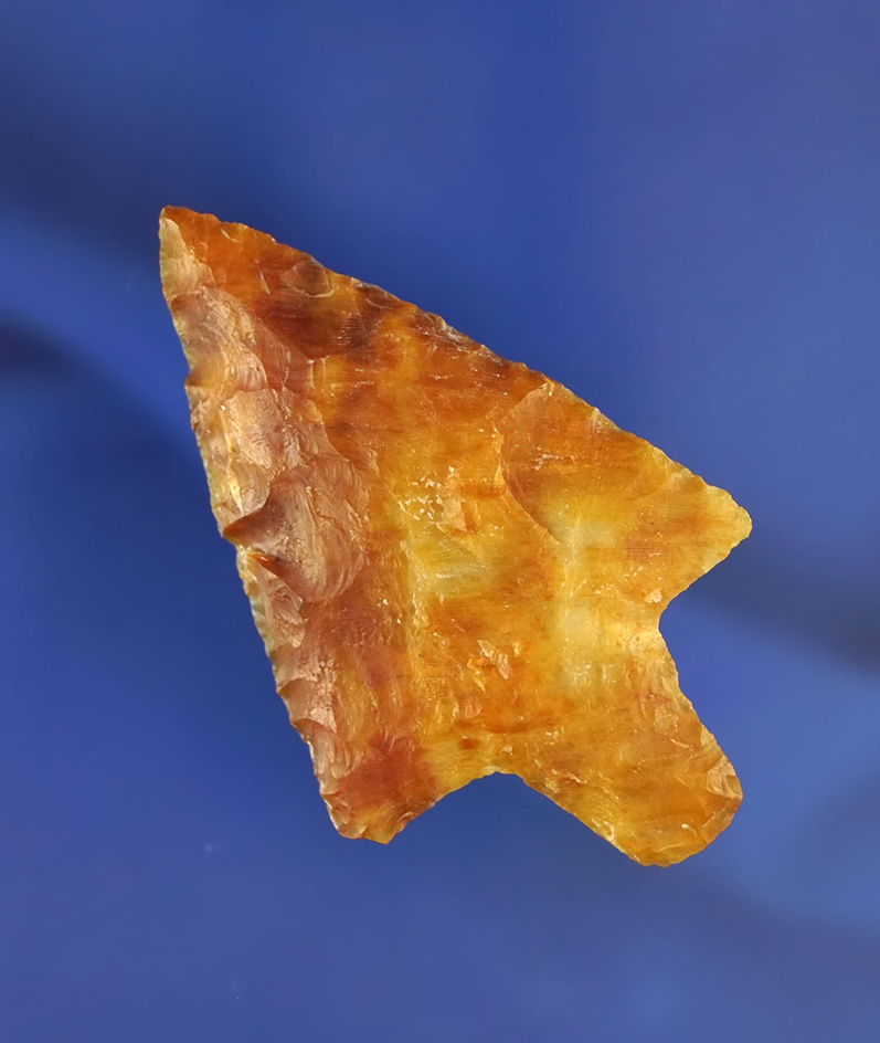 2 9/16" beautifully styled and nicely made Marion that is highly translucent found in Florida.