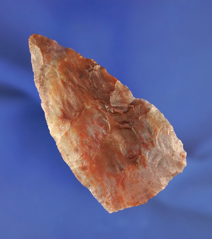 3 1/8" beautifully colored Blade found in Florida. Ex. Len Weidner collection.