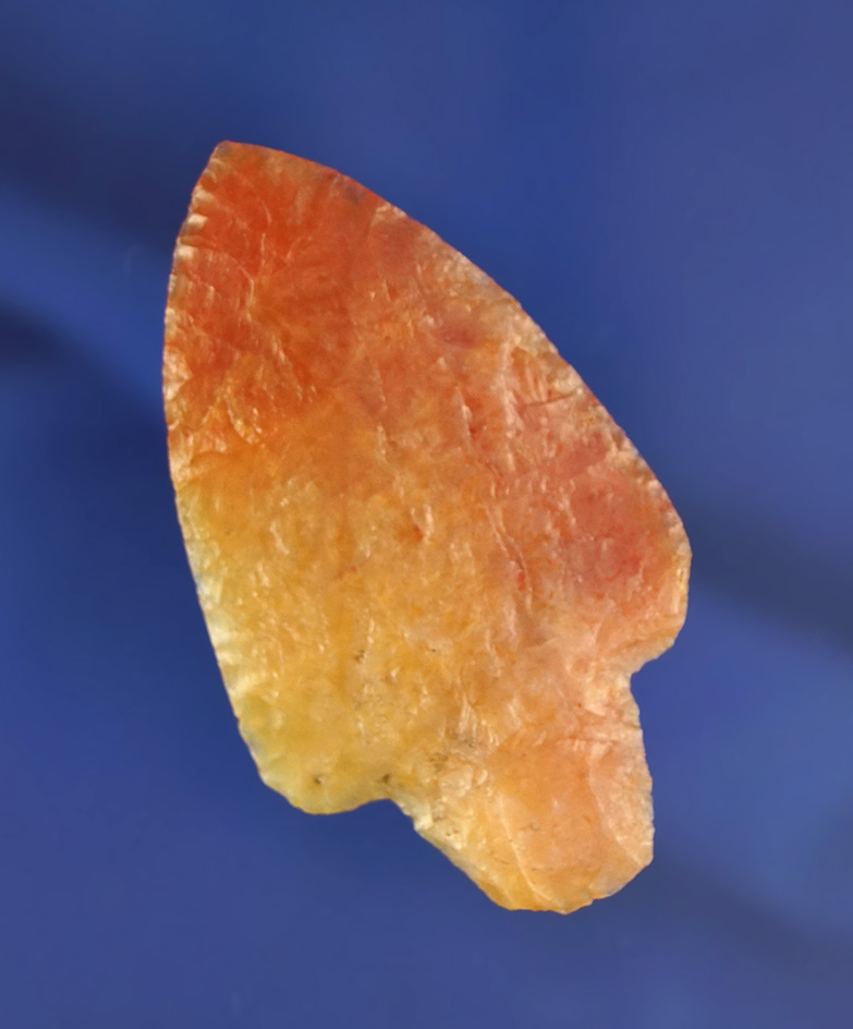 Beautifully colored and highly translucent 2 1/2" Marion found in Florida. Ex. Len Weidner