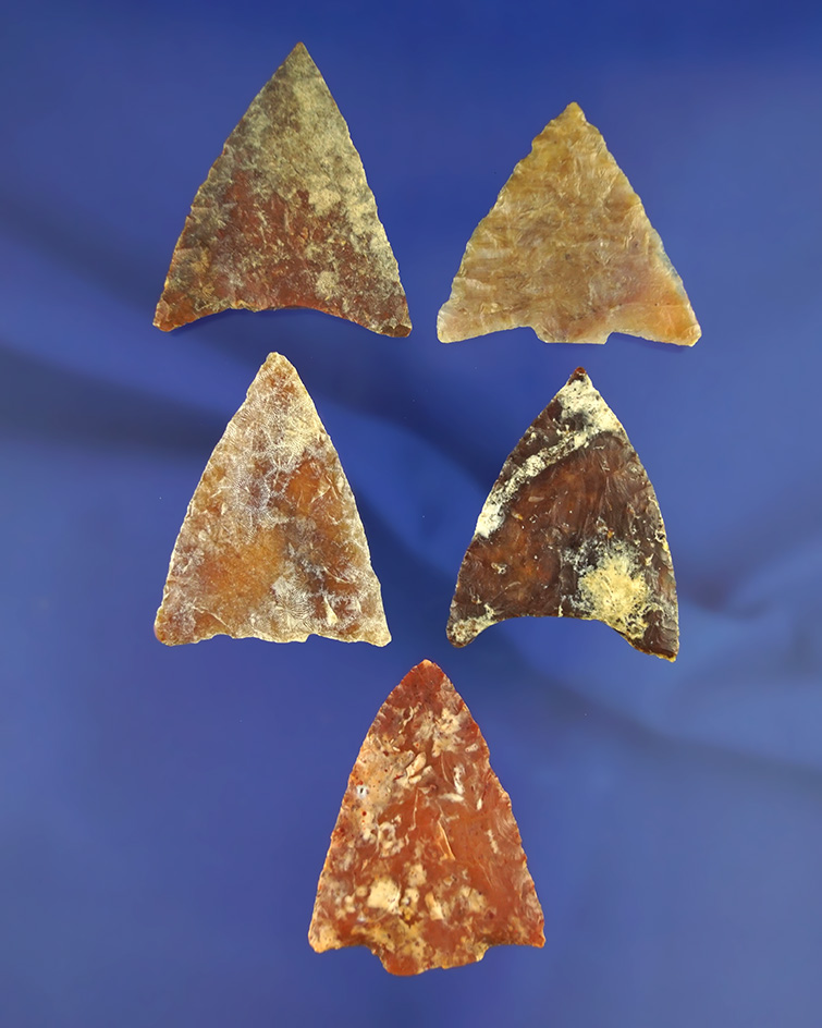 Set of five Florida points made from beautiful material with broken bases