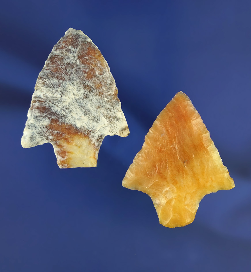 Pair of Newnan points found in Florida, largest is 1 13/16". Ex. Len Weidner collection.