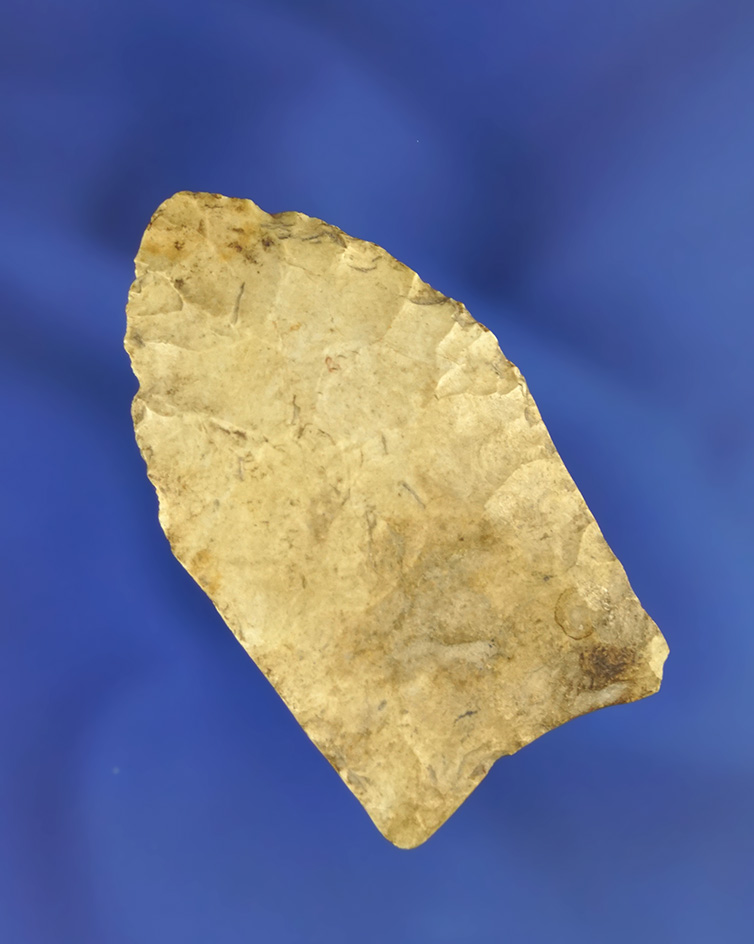 2 1/16" Paleo Fluted Clovis found in central Indiana. Ex. Jim Bickel collection. Dickey COA.