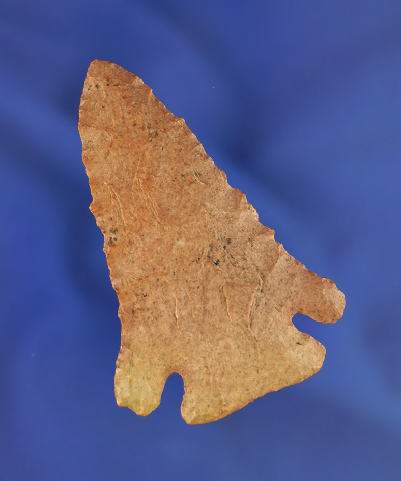 2 9/16" well patinated Pinetree found in Tennessee.