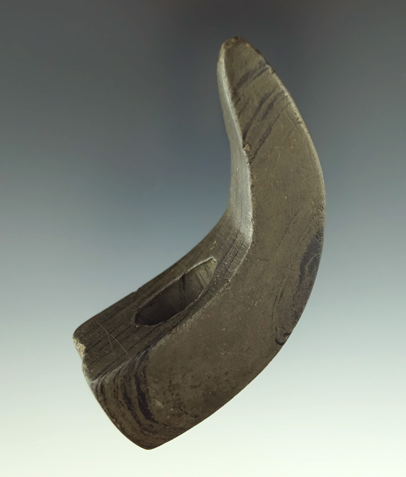 Very nice 2 1/2" long green banded slate Geniculate  that is heavily patinated Crawford Co.,  OH.