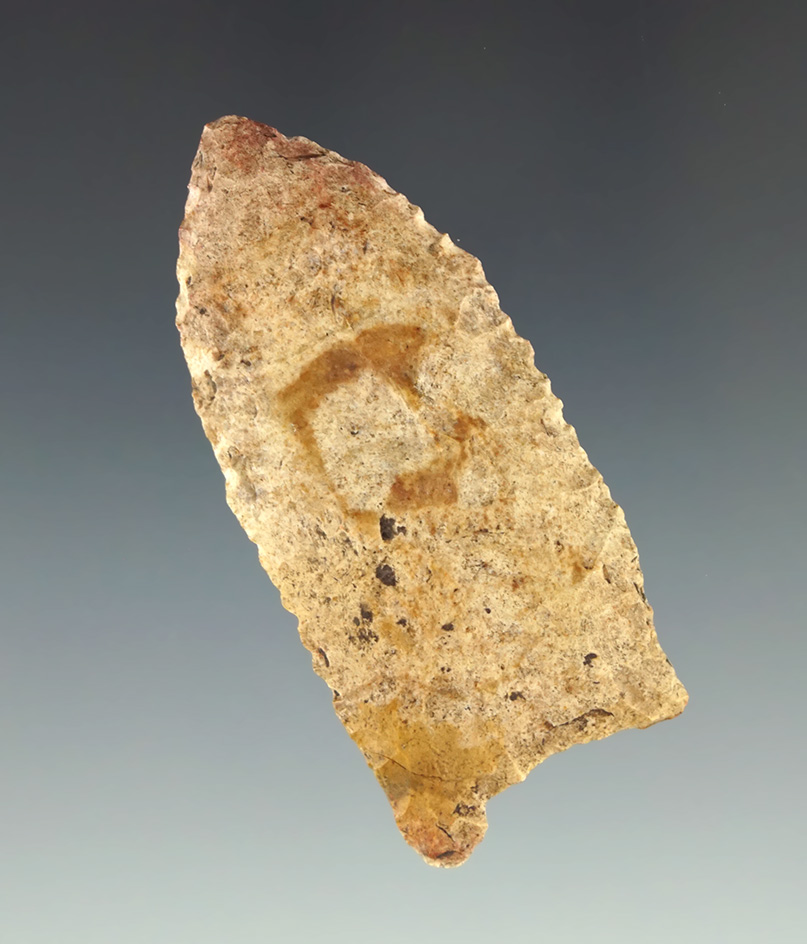 2 5/16" Paleo Fluted Clovis found in Indiana Bennett COA.