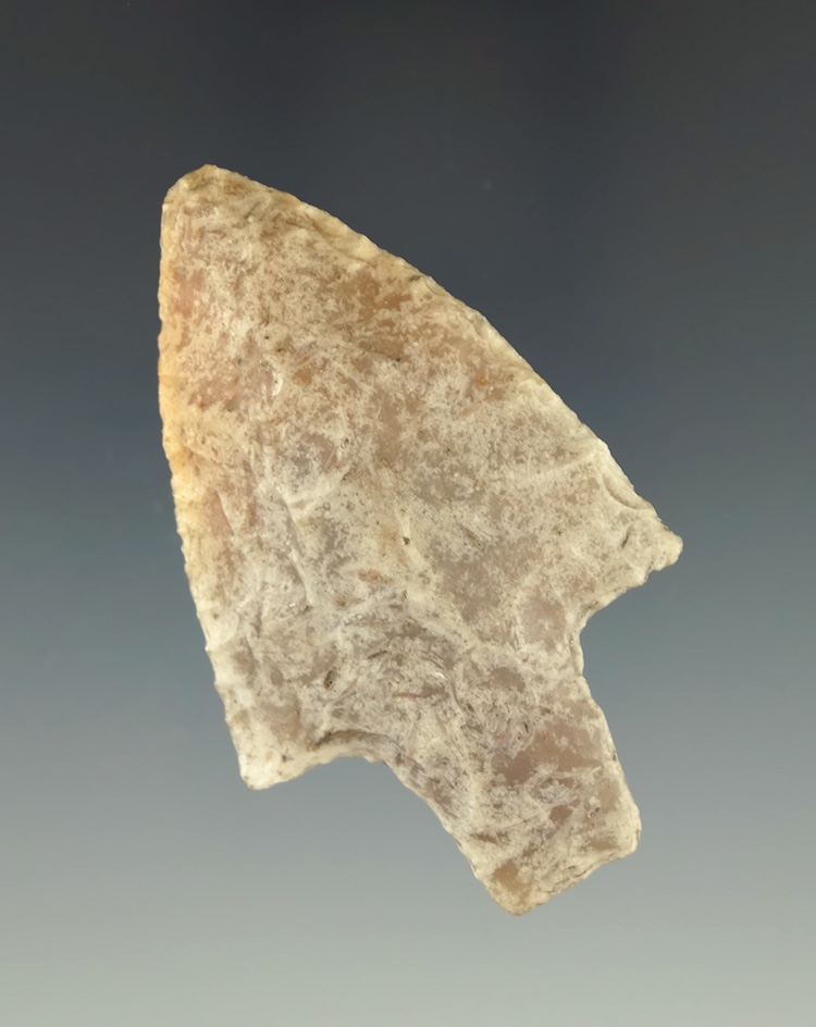 2 3/8 heavily patinated coral Newnan point found in Florida.