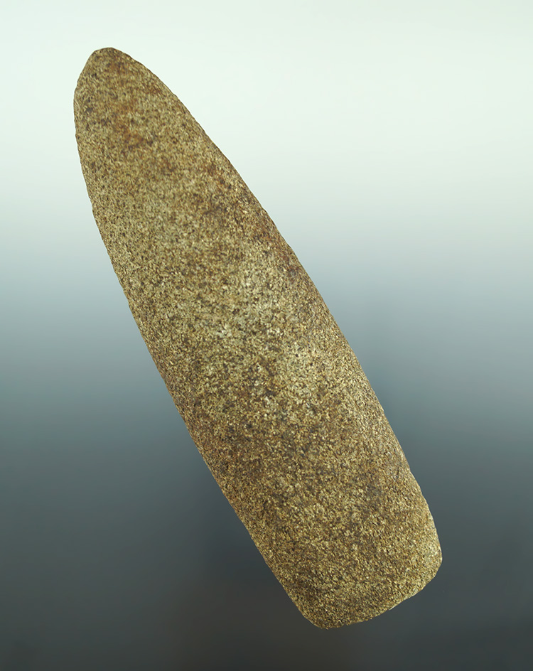 Rare style 5 5/8" Humped Adze  found in Michigan.  Ex. Phil Wagle collection.