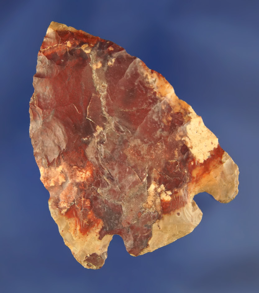 Beautiful color pattern on this 2 11/16" Smith Basal Notch found in Mississippi.