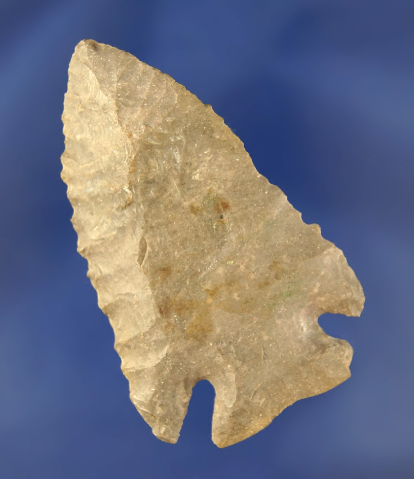 2 3/4" Fort Payne chert beveled Notched Base Dovetail found in Kentucky. Ex. Earl Townsend collectio