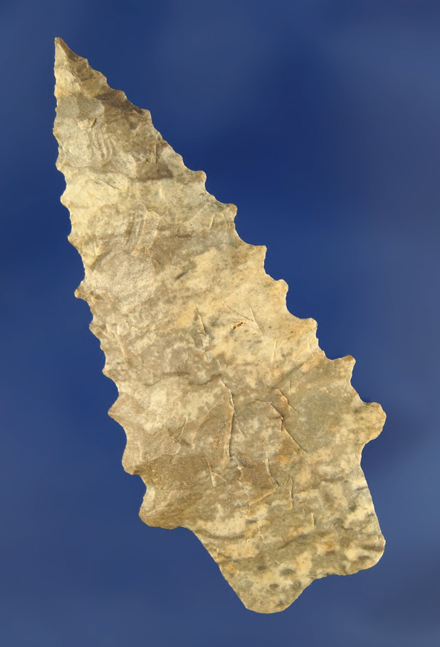 Exceptional serrations and style on this well flaked 3" serrated Kirk found in Kentucky.