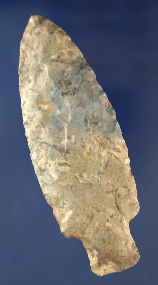 Large 4 7/16" Stemmed Knife found in Kentucky.