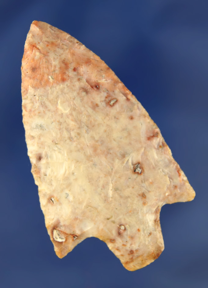 Beautiful material on this 3 1/8" Florida Arrowhead in excellent condition.