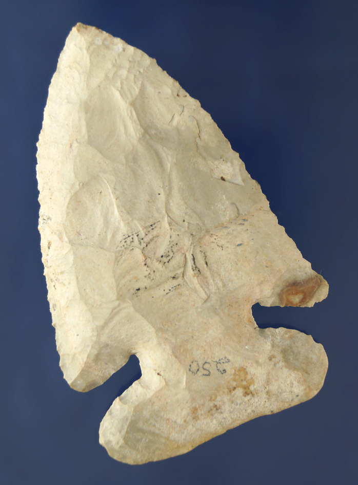 3 5/16" Burlington chert Thebes found by Paul Wright in Pike Co., Illinois.