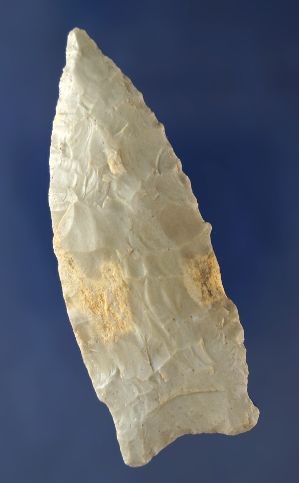 Nice flaking on this 2 15/16" Dalton found in Kentucky.