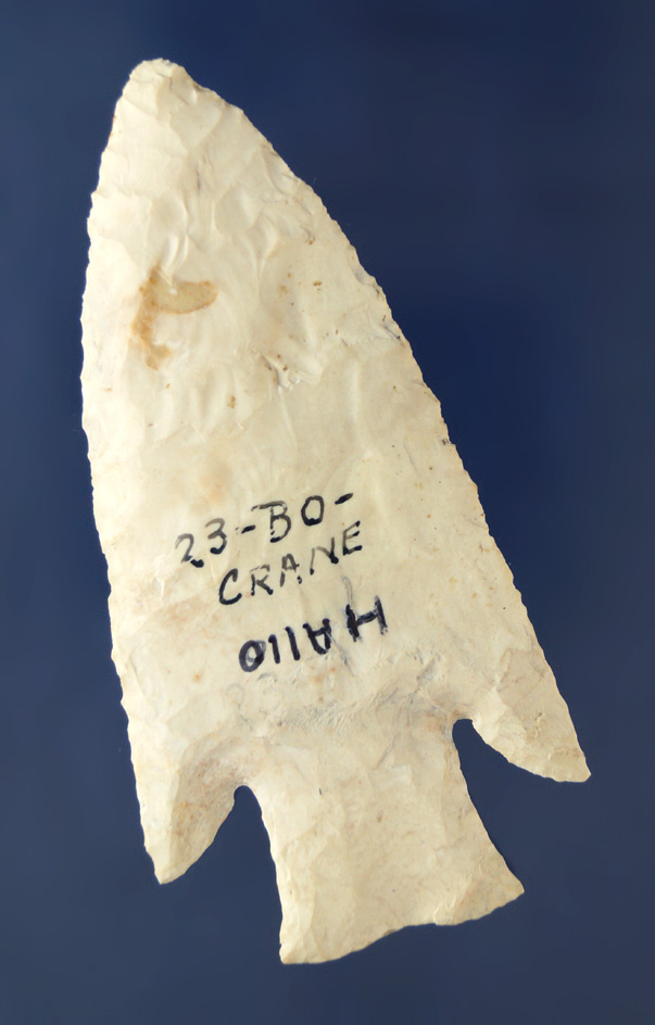 Beautifully styled 3 1/2" Hardin with professional restoration to the ears and one basal corner done