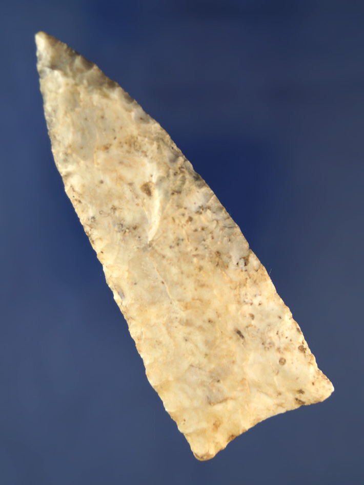 3 11/16" Dalton that is heavily patinated found in Daviess Co., Kentucky.