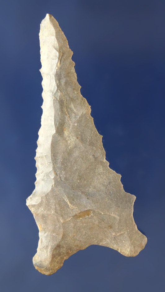 2 7/16" deeply beveled Dalton found in Trigg Co., Kentucky.