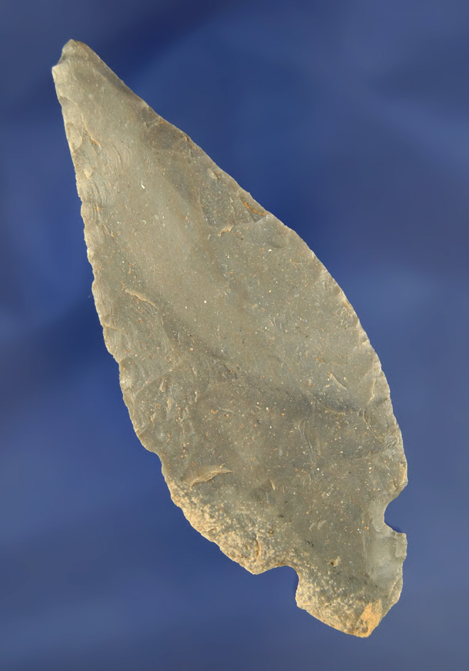 4 1/4" Hornstone Turkeytail found as part of a large cache in Jefferson Co., Kentucky. Jackson COA.