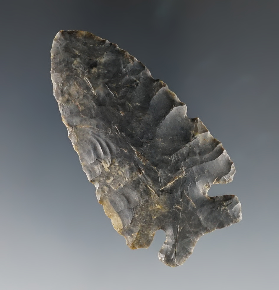 2 5/16" nicely styled sidenotch point found in Roxbury, Massachusetts with good flaking.