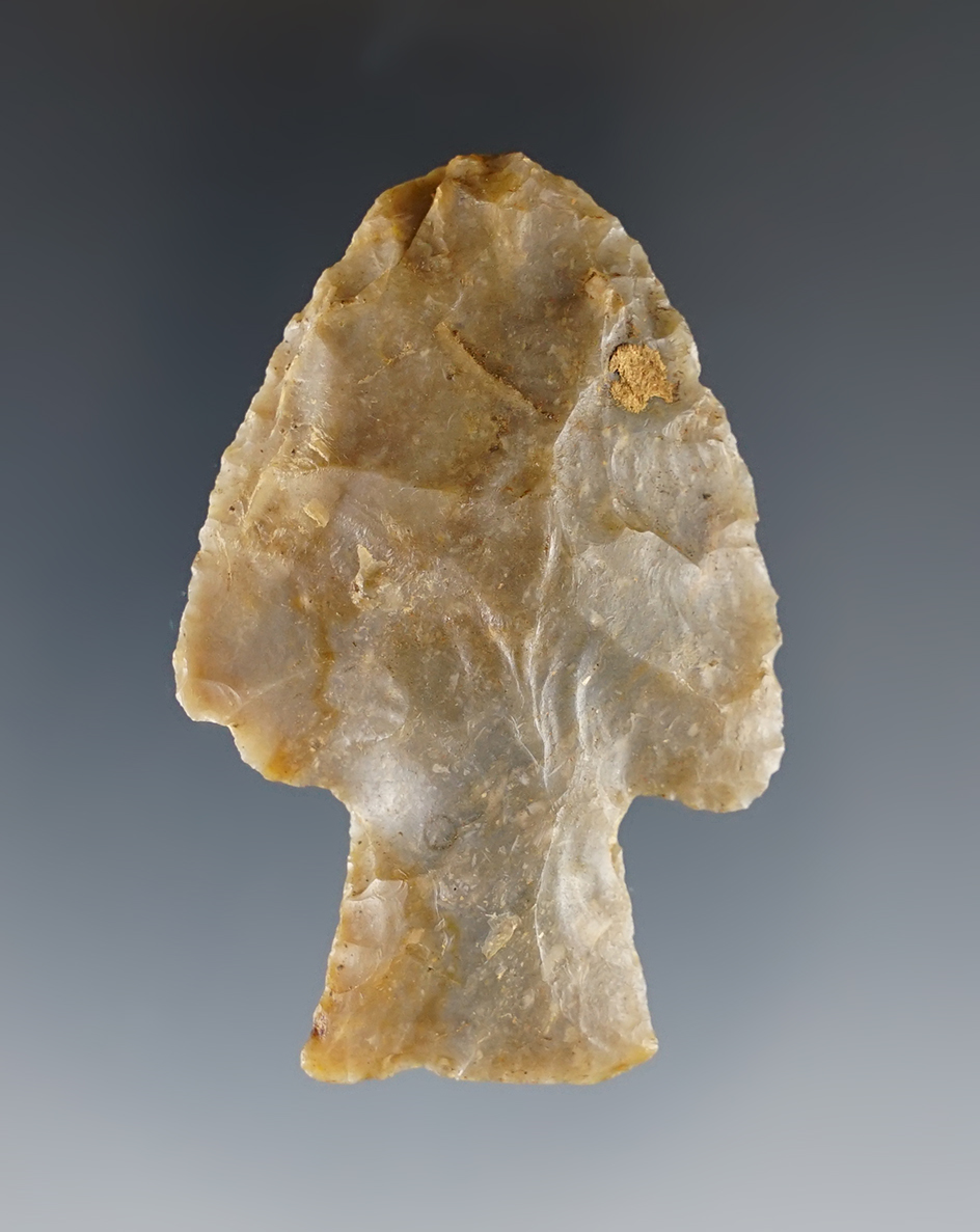 2 3/16" Stemmed Archaic point found in Kentucky. Nice ancient grinding to the stem area.