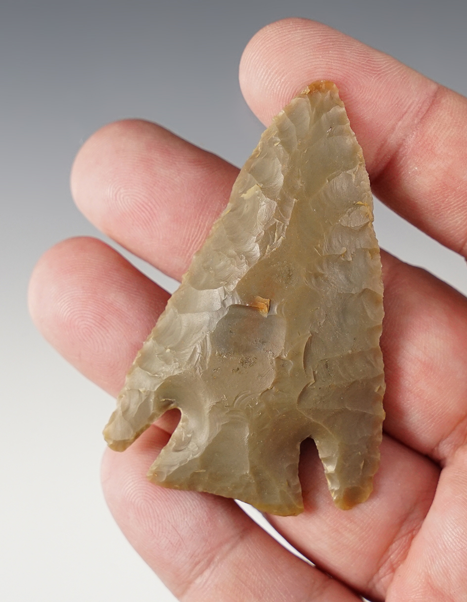 Excellent flaking on this 2 1/2" Lost Lake found in Hart Co., Kentucky. Bennett COA.