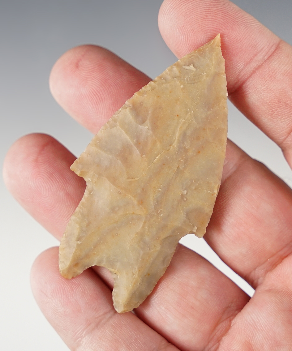 Needle tip 2 3/4" Pedernales - Edwards Co., Texas. Made from colorful flint. Rogers COA.