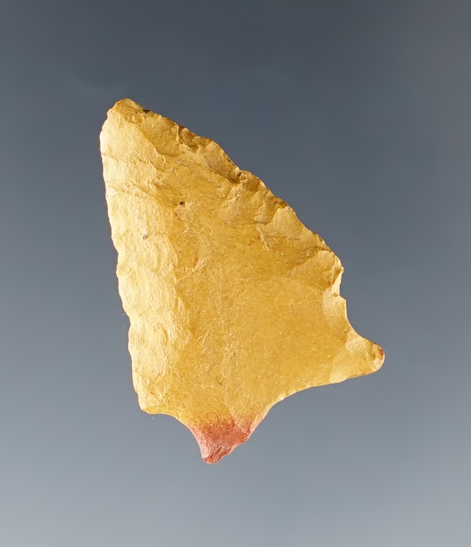 Classic style 1 1/8" San Patrice that is fluted with a nicely ground base. Louisiana.