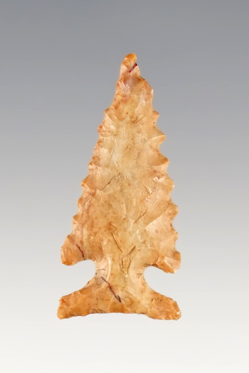 1 3/16" Nicely serrated Edwards point found in Bandera Co., Texas.