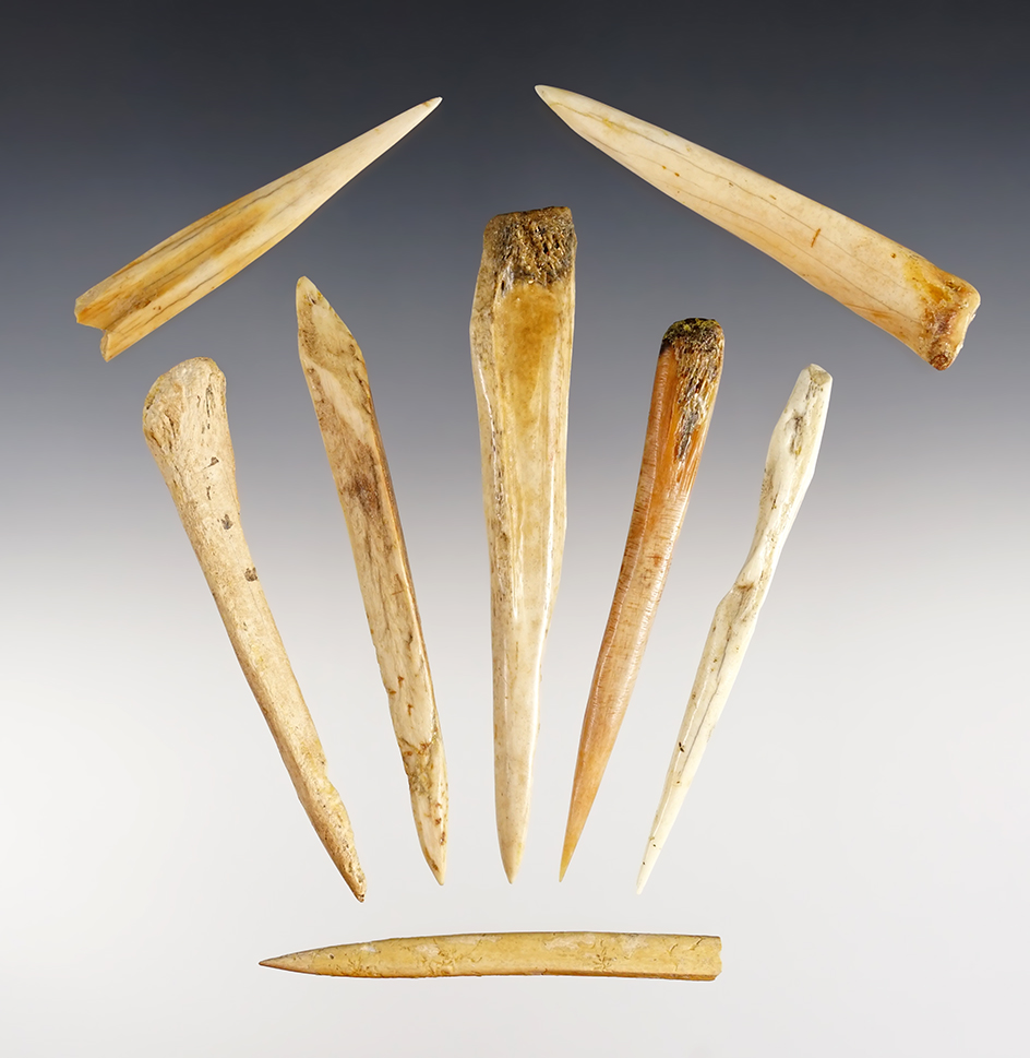 Set of 8 well patinated Bone Awls found in California. The largest is 4 3/16".