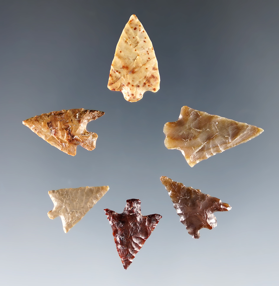 6 nicely styled gem points found near the Columbia River.  Ex. Frank Wilkie Museum. 